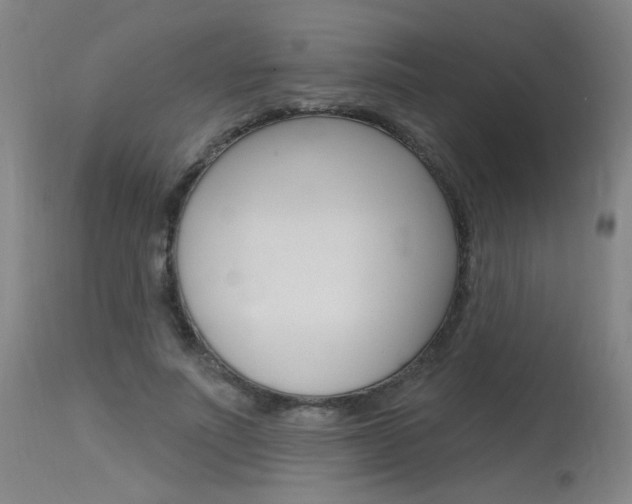 X0000115630691200911101119