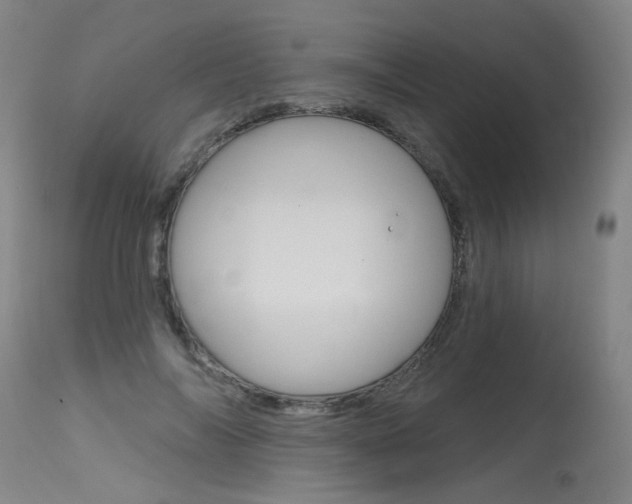 X0000115630694200911101119