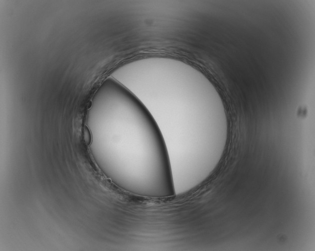 X0000115630697200911101119