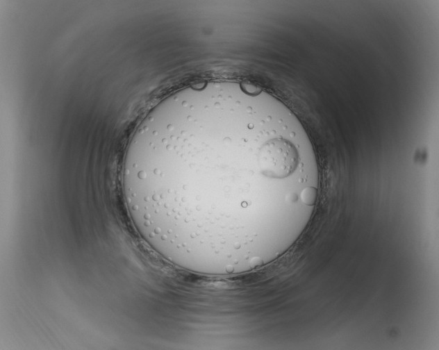 X0000115630698200911101119