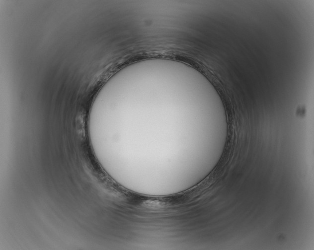 X0000115630699200911101119