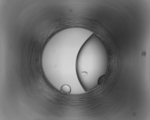 X0000115630700200911101119