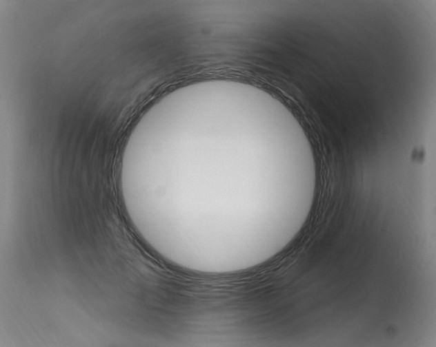 X0000115630701200911101119