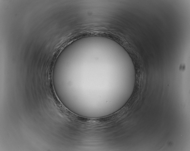 X0000115630704200911101119