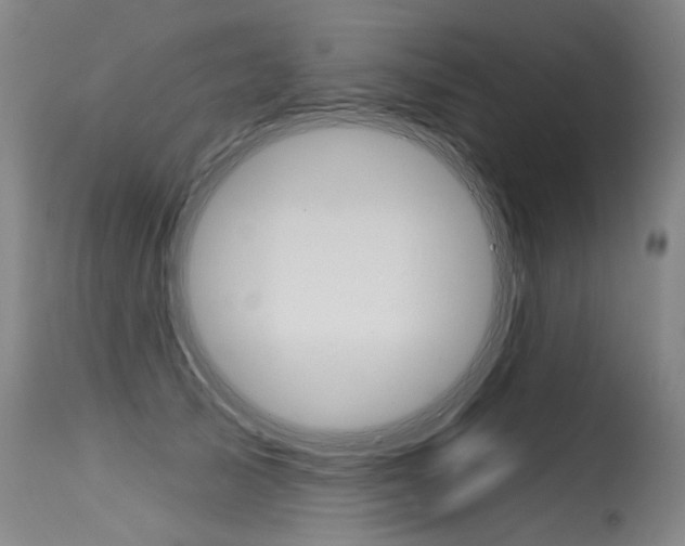 X0000115630705200911101119