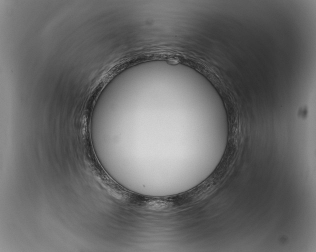 X0000115630708200911101119