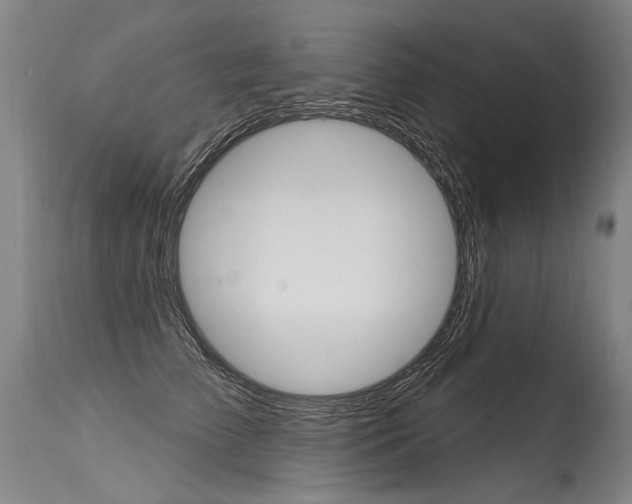 X0000115630709200911101119