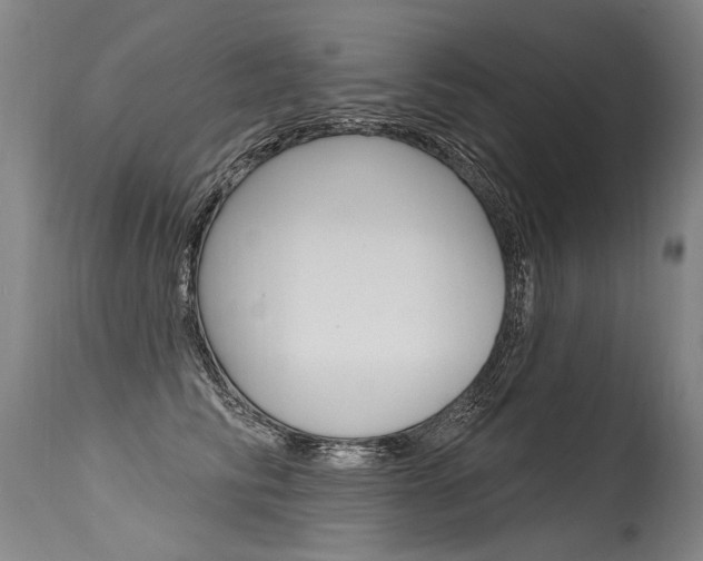 X0000115630710200911101119