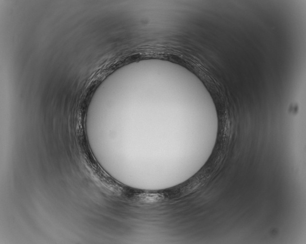X0000115630711200911101119