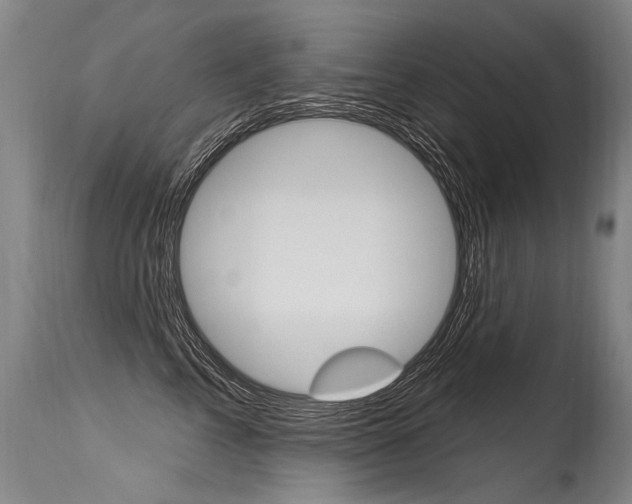 X0000115630713200911101118