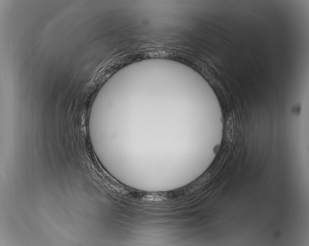 X0000115630714200911101118