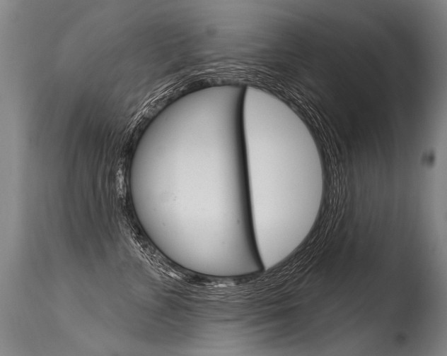 X0000115630715200911101118