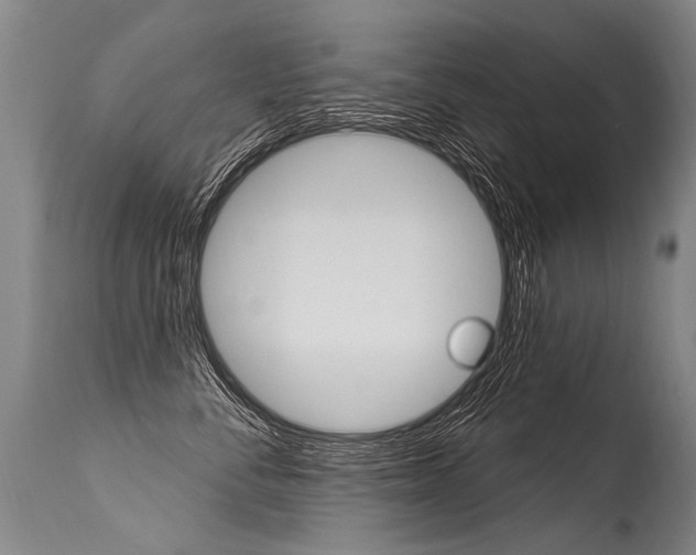 X0000115630716200911101118
