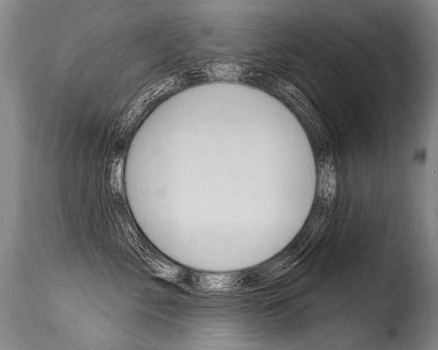 X0000115630717200911101118