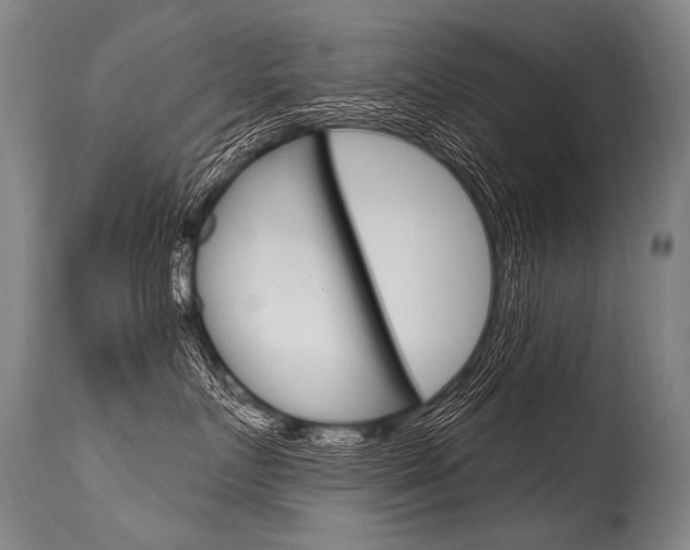 X0000115630719200911101118