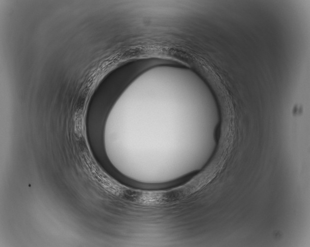 X0000115630720200911101118