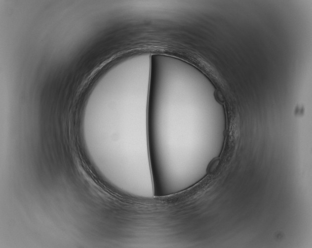 X0000115630722200911101118
