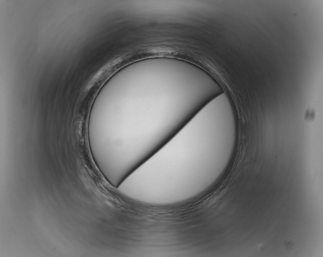 X0000115630723200911101118