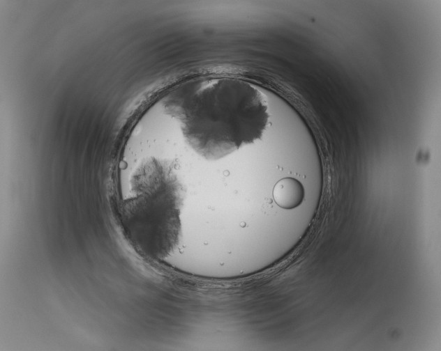 X0000115630725200911101118