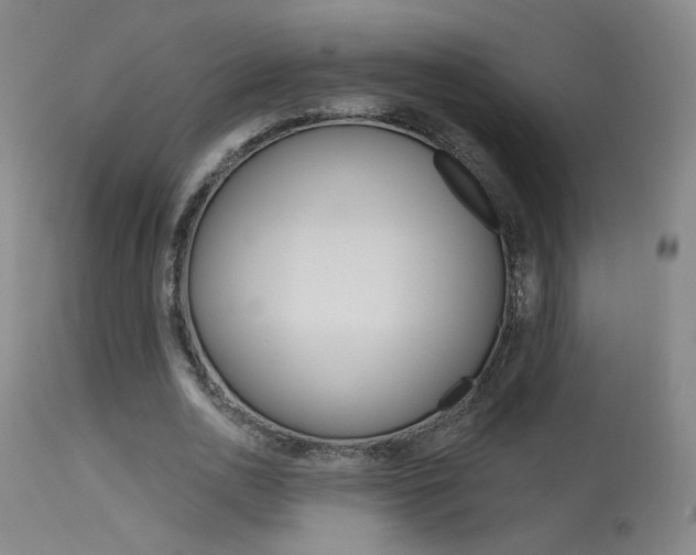 X0000115630726200911101118