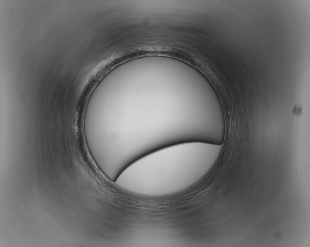 X0000115630727200911101118