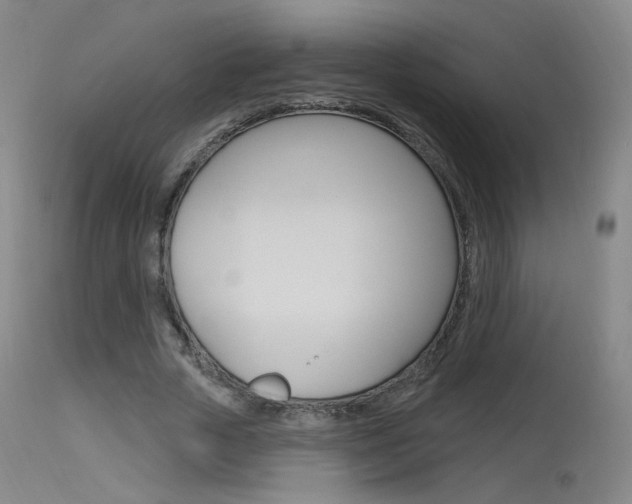 X0000115630729200911101118