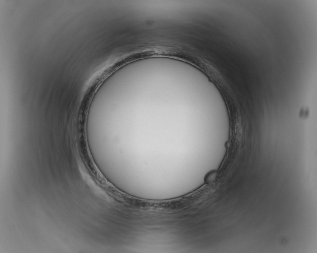 X0000115630730200911101118
