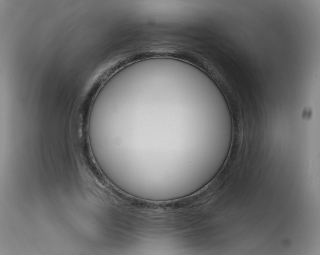 X0000115630731200911101118