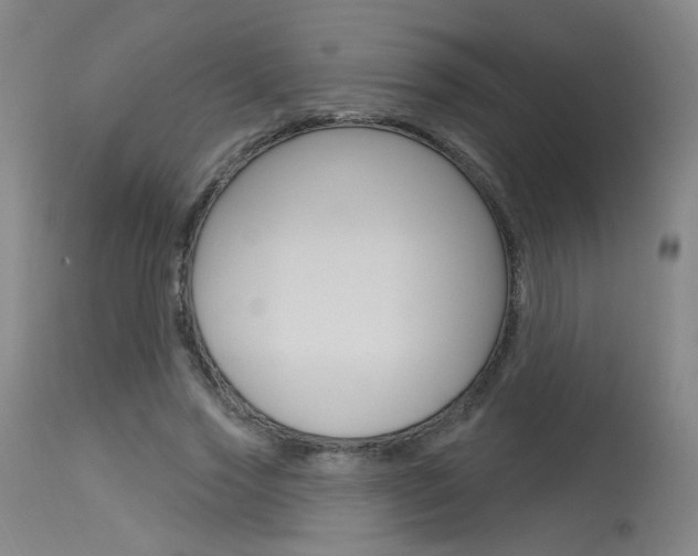 X0000115630733200911101118