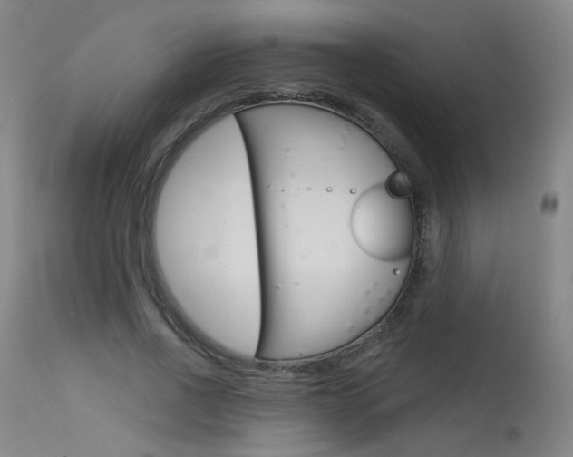 X0000115630734200911101118