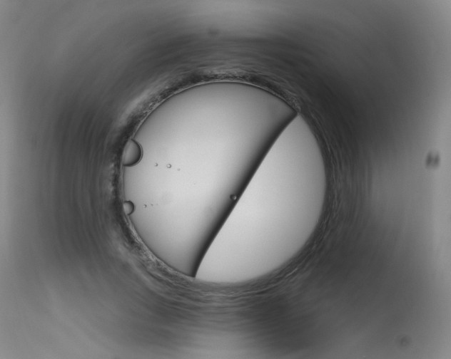 X0000115630735200911101118