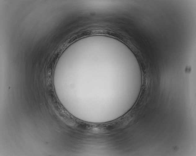 X0000115630737200911101118