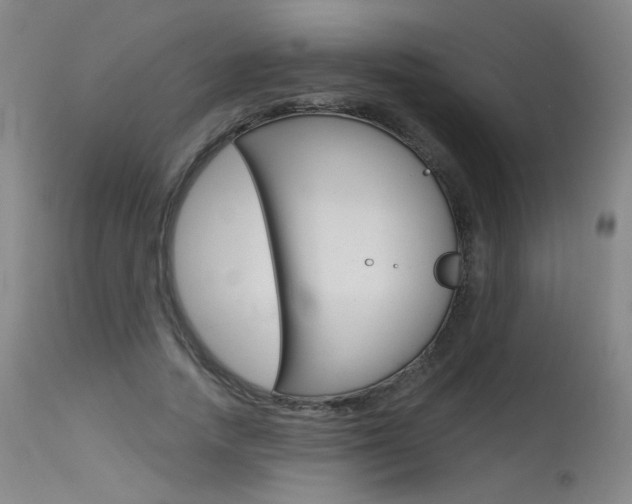 X0000115630738200911101118