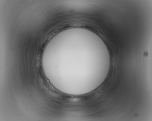 X0000115630741200911101118