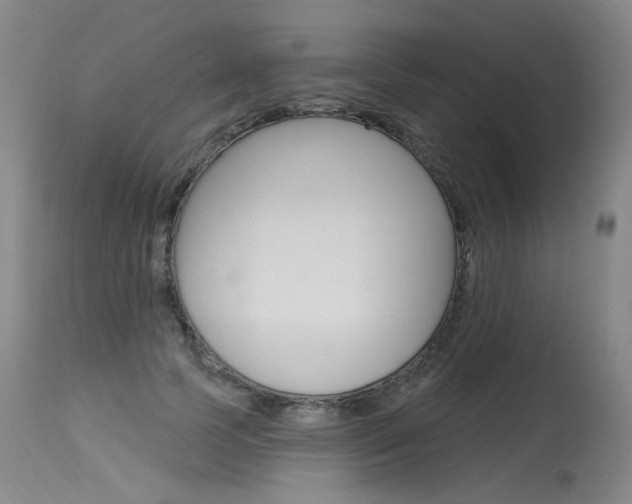 X0000115630745200911101118