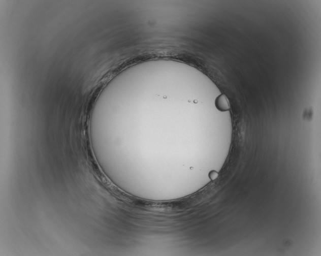 X0000115630746200911101118