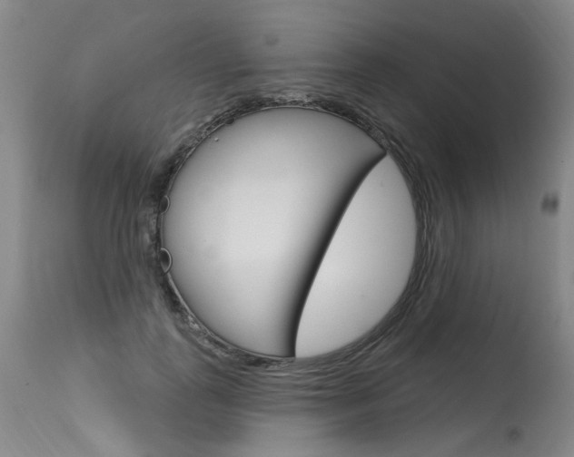 X0000115630747200911101118