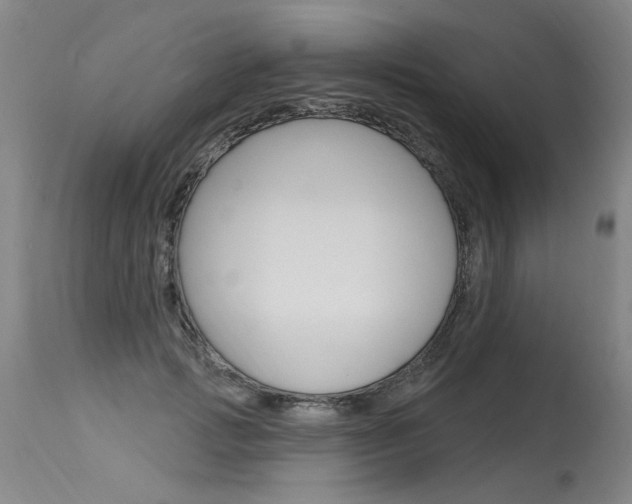 X0000115630749200911101118