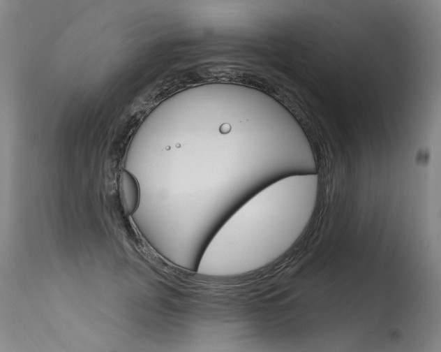 X0000115630751200911101118