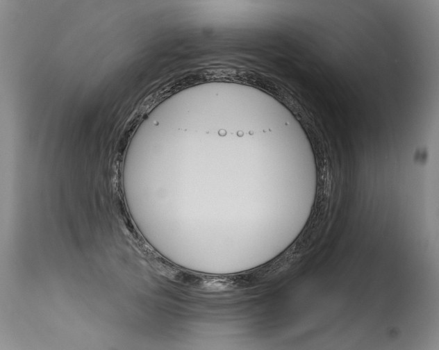 X0000115630753200911101118