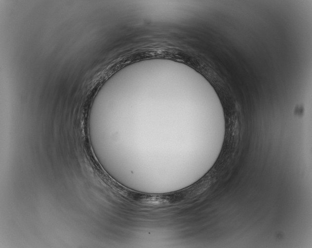 X0000115630754200911101118