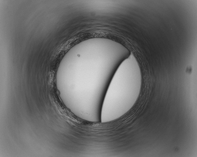 X0000115630759200911101118