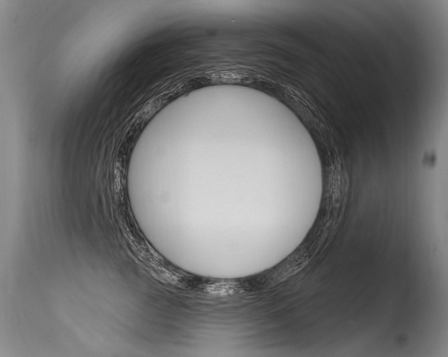 X0000115630761200911101118