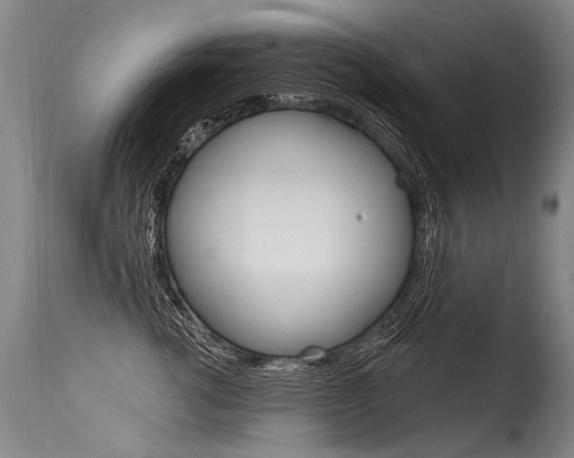 X0000115630762200911101118