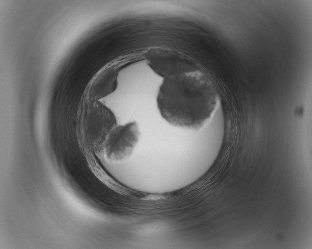 X0000115630765200911101118