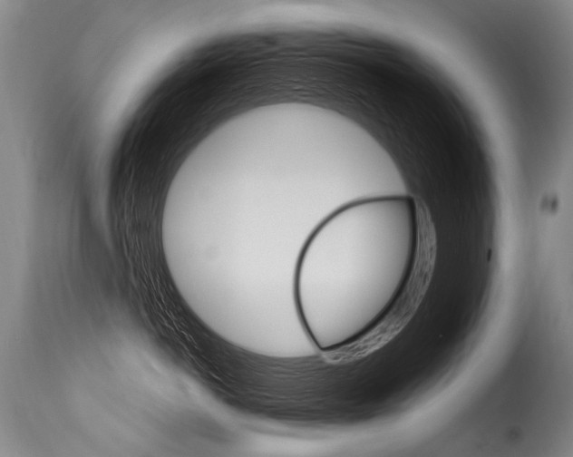 X0000115630766200911101118