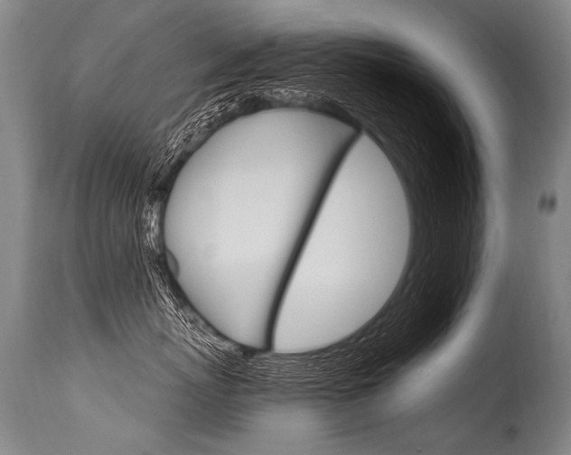 X0000115630767200911101118