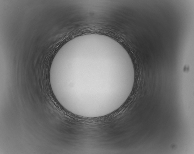 X0000115630769200911101118
