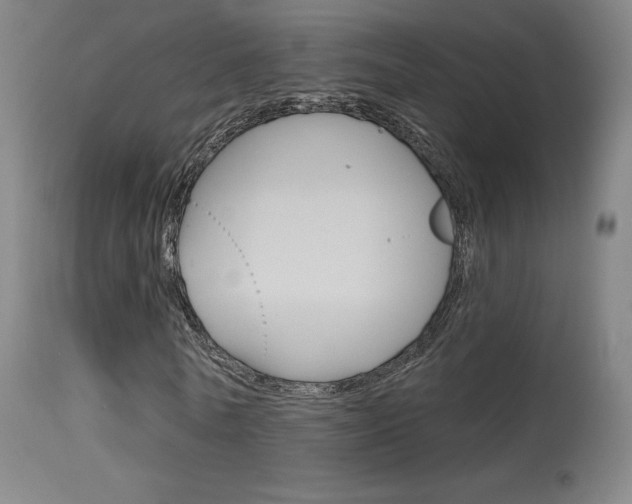 X0000115630770200911101118