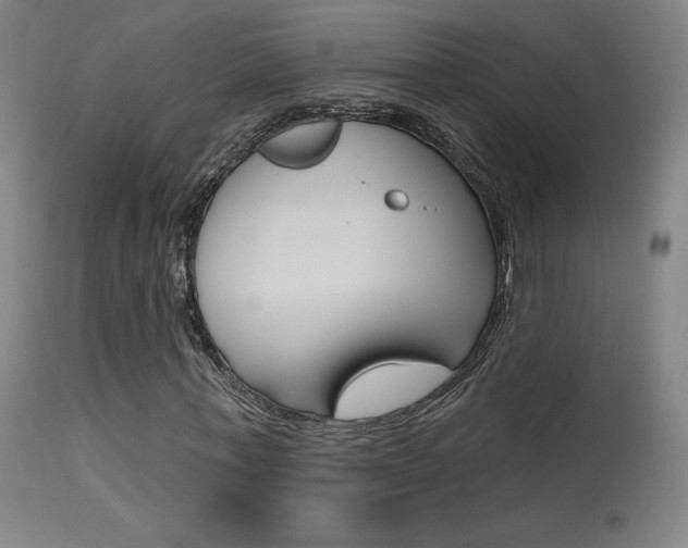 X0000115630771200911101118